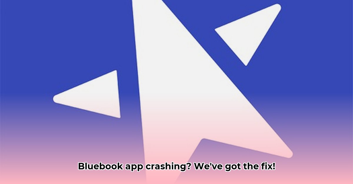 bluebook-app-down